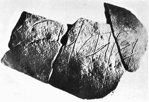 Frammenti di un coppo di argilla da Cavallino (prima metà  VI-prima metà  V sec. a.C.)